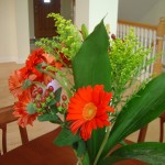 flowers 001